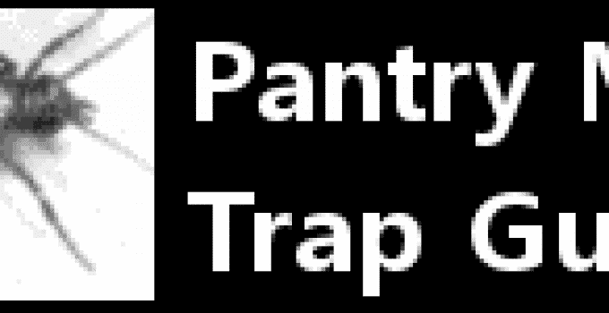 Pantry Moth Trap Guide - Control Pantry Moths